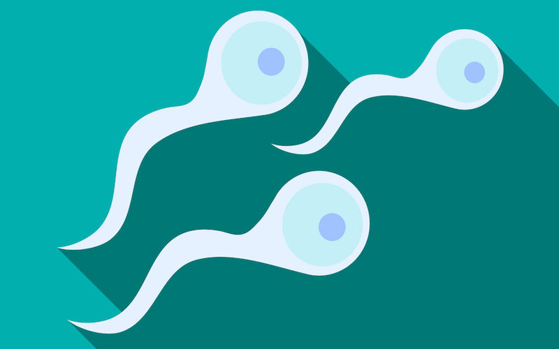 Как выбрать донора спермы