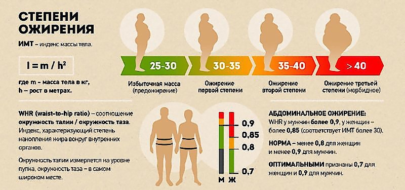Как определить степень ожирения у мужчины?