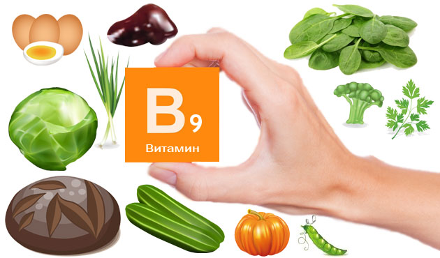  В каких продуктах содержится фолацин